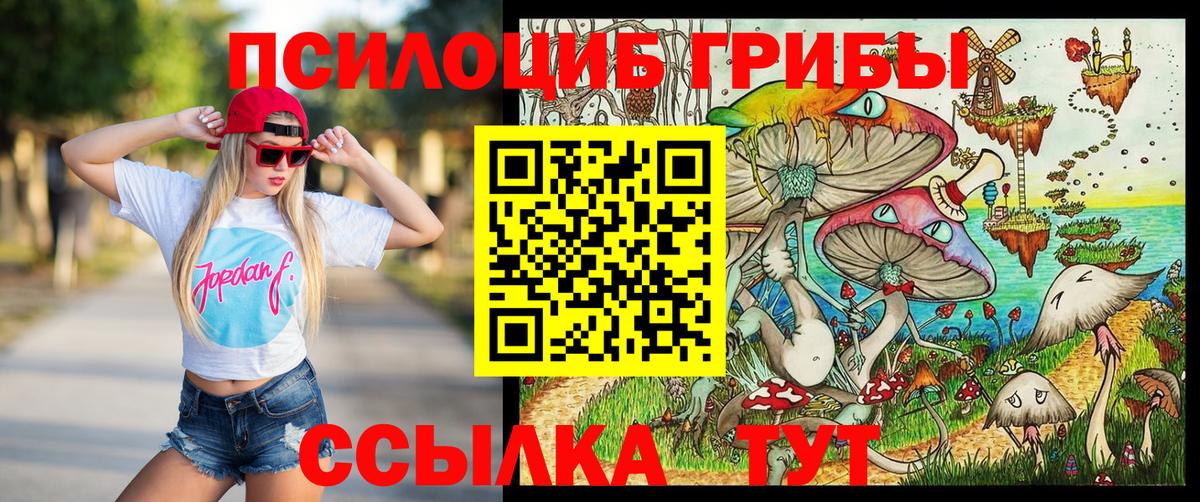 Псилоцибиновые грибы Psilocybe Комсомольск-на-Амуре
