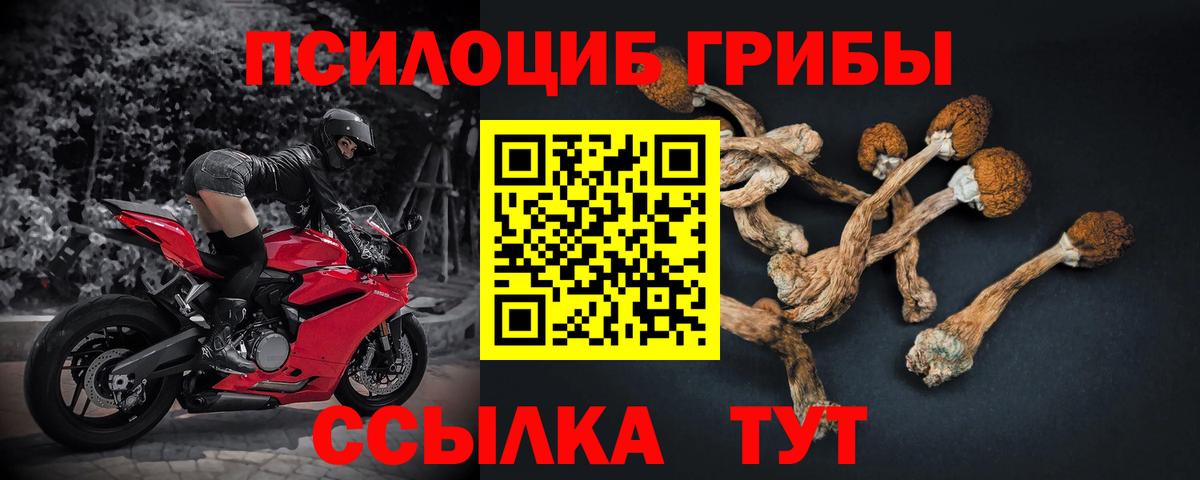 Комсомольск-на-Амуре  купить наркотики цена  Вход с VPN  Псилоцибиновые грибы прущие грибы 
